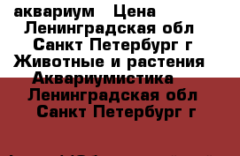 аквариум › Цена ­ 3 500 - Ленинградская обл., Санкт-Петербург г. Животные и растения » Аквариумистика   . Ленинградская обл.,Санкт-Петербург г.